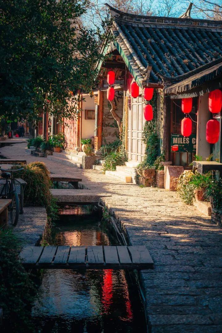春雨直播app